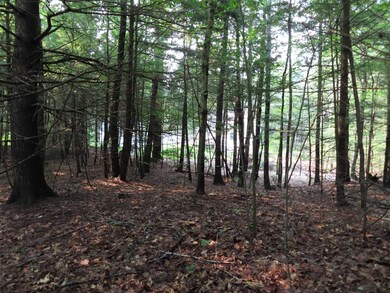 Lots 124-125 Andover Dr, Barnstead, NH 03225 - photo 2
