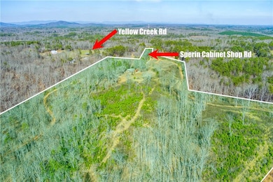170 Sperin Cabinet Rd, Ball Ground, GA 30107 - photo 4