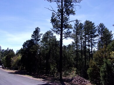 Beautiful land 2160 Pine Grove Drive