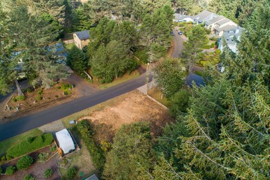 Arial of Lot