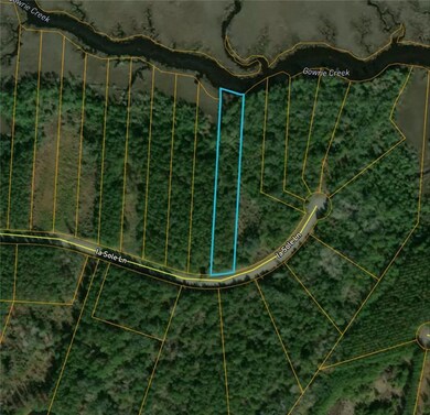 0 La Sole unit 7597482, Waverly, GA 31565 - photo 2