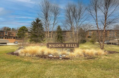 Walden Hills