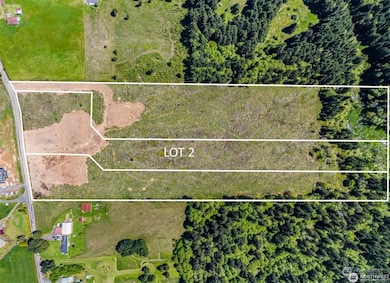 597 Brown Rd E, Adna, WA 98532 - photo 4