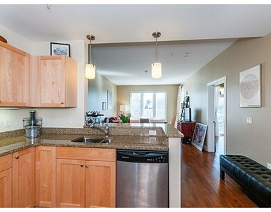 113 Richdale Ave unit 33, Cambridge, MA 02140 - photo 3
