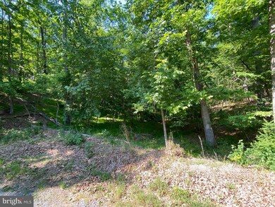 1114 Lakeview Dr, Cross Junction, VA 22625 - photo 4