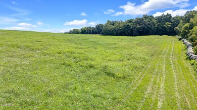 2200 Rd, Limestone, TN 37681 - photo 7