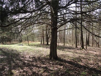 718 Madison 5548 Rd, Elkins, AR 72727 - photo 7