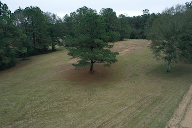 Lot 4-B-1 Louisiana 421, Saint Francisvle, LA 70775 - photo 2