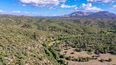 6955 W Secret Springs Rd, Prescott, AZ 86305 - photo 2