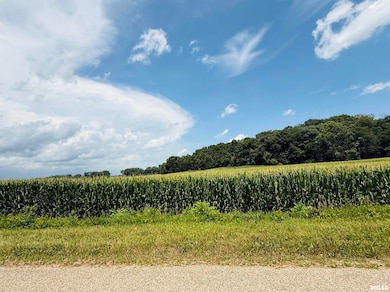 0 Illinois 26, Metamora, IL 61548 - photo 2