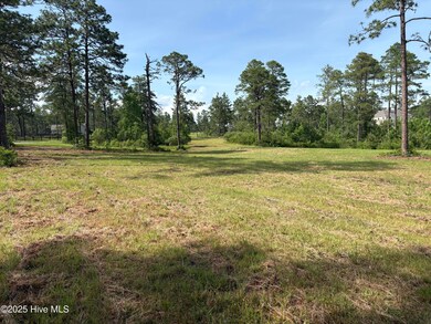 355 Fox Box Rd, Vass, NC 28394 - photo 4