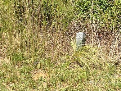 0 Hickory Loop Rd unit 23, Rutherfordton, NC 28139 - photo 4