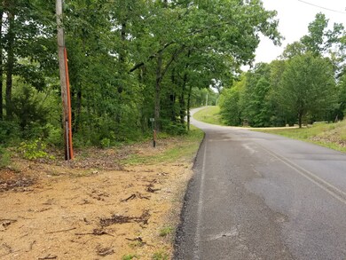 0 Hurricane Creek Rd unit 2153987, Linden, TN 37096 - photo 2