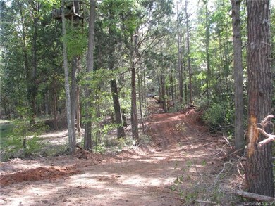 Road thru Hardwoods at Stream Crossing