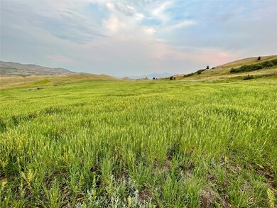 Grain Field