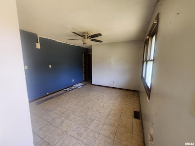 904 E Poplar St, Du Quoin, IL 62832 - photo 7