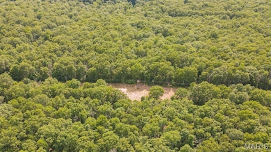 Aerial view of a forest