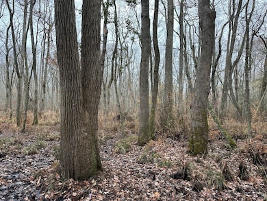 000 Fleming Mill Rd, Pocomoke City, MD 21851 - photo 6