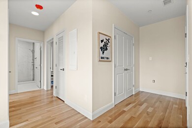 16 Taber St unit 501, Boston, MA 02119 - photo 4
