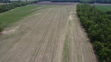 0 Levee Rd, Fults, IL 62244 - photo 6