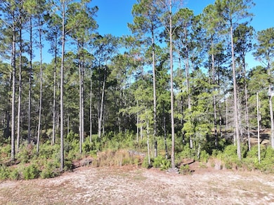 8311 N Coffee Rd, Hahira, GA - photo 2