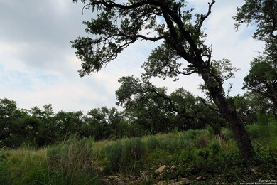 20322 Bobwhite Run, San Antonio, TX 78256 - photo 4