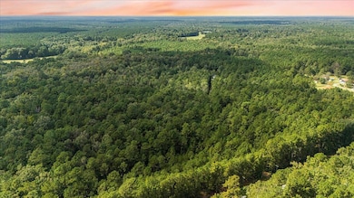 130 Tygerpaw Trail, Saint Stephen, SC 29479 - photo 2