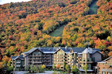 7412 Mountain Rd unit 4-08, Stowe, VT 05672 - photo 2