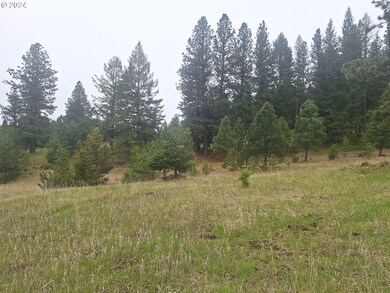 0 2s44 1600 Tl 902 unit 23676547, Enterprise, OR 97828 - photo 3