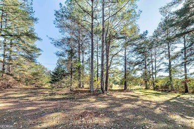 3138 Collier Rd, Forsyth, GA 31029 - photo 3