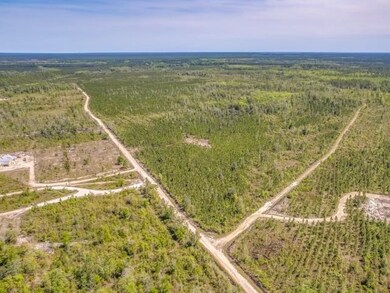 Lot 5 Rock Crusher Rd, Crawfordville, FL 32327 - photo 3