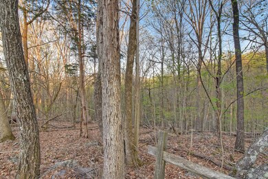 Lot 17 Eagles Nest, Johnson City, TN 37601 - photo 6