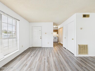 114 Hummingbird Ln unit B-D, Lafayette, LA 70506 - photo 7