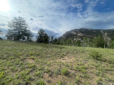 171 Emerald Way, Lake George, CO 80827 - photo 5