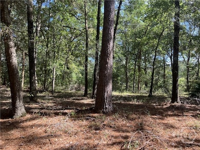 392 Reiser Rd, Springfield, GA 31329 - photo 6