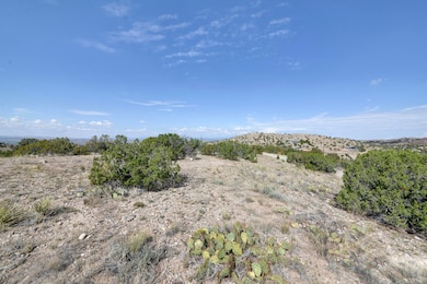 Lot 67 Jemez Rd, Placitas, NM 87043 - photo 3
