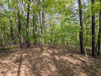 00 Ladd Springs Rd, Old Fort, TN 37362 - photo 3