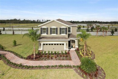 10312 Hawks Landing Dr, Land O Lakes, FL 34638 - photo 5