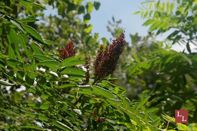 1 Teal Rd, Ardmore, OK 73401 - photo 4