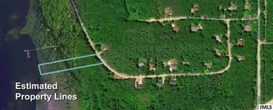 7040 Sanctuary Dr, Jackson, MI 49201 - photo 6