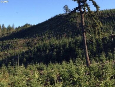 0 Oakdale Rd unit 591849589, Dallas, OR 97338 - photo 6