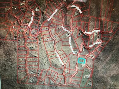 681 Blue Mist Way unit 78, Arden, NC 28704 - photo 5