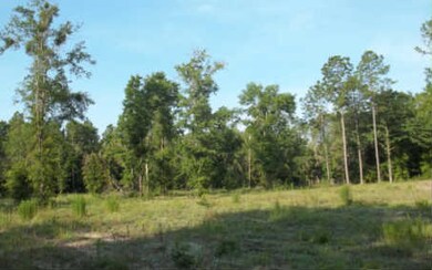 708 SW Briar Patch Terrace, Fort White, FL 32038 - photo 3