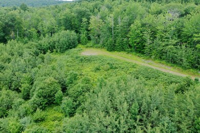 Summer Aerials