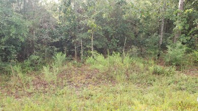 Lot 11 Mockingbird Hill Ct, Crestview, FL 32539 - photo 3