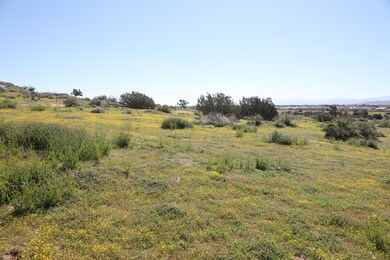 4O3A0728