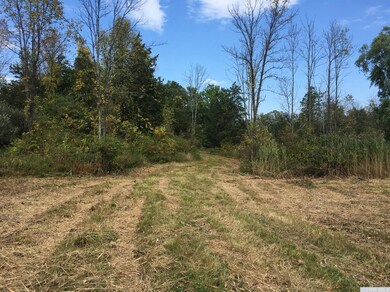 0 Roundtop #4 Rd, Germantown, NY 12526 - photo 2