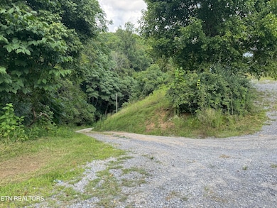 301 Holloway Rd, Newport, TN 37821 - photo 4