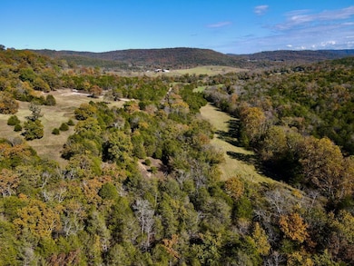 6040 Highway 187, Eureka Springs, AR 72631 - photo 6