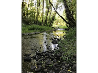 62941 NW Cochran Rd, Timber, OR 97144 - photo 2